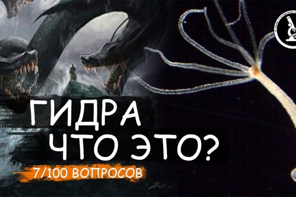 Как найти сайт кракен